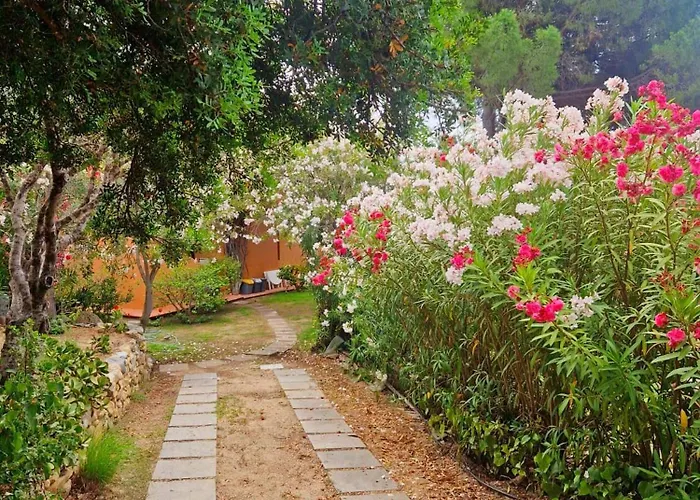 Dom wakacyjny Marina Holidays *